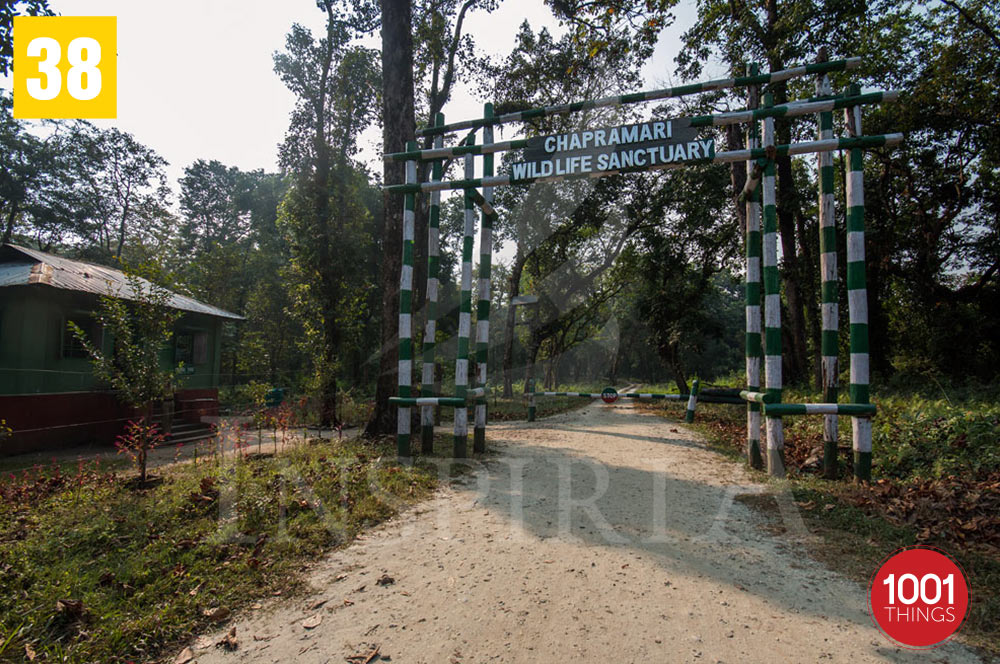 Chapramari Wildlife Sanctuary