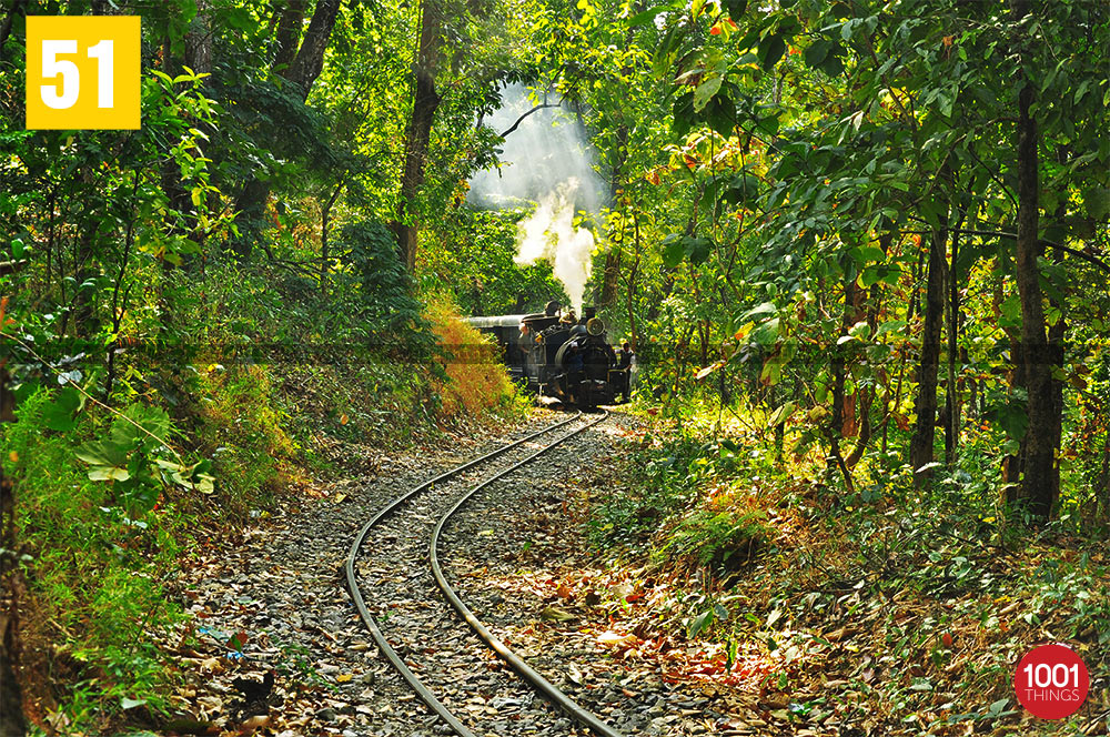 Darjeeling Himalayan Railway at Sukna Forest