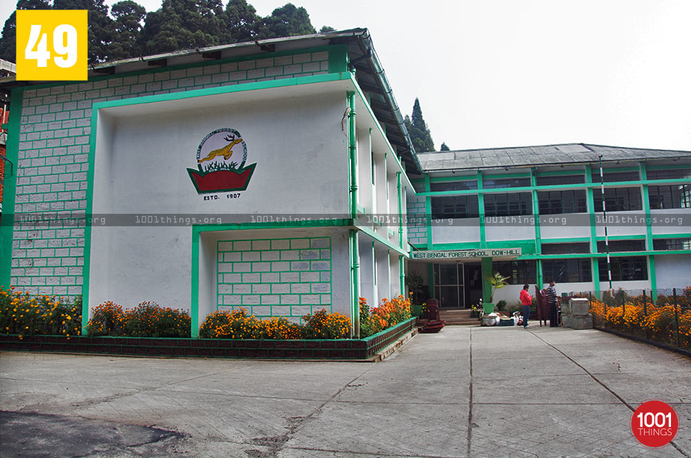 Forest School at Deer Park, Kurseong