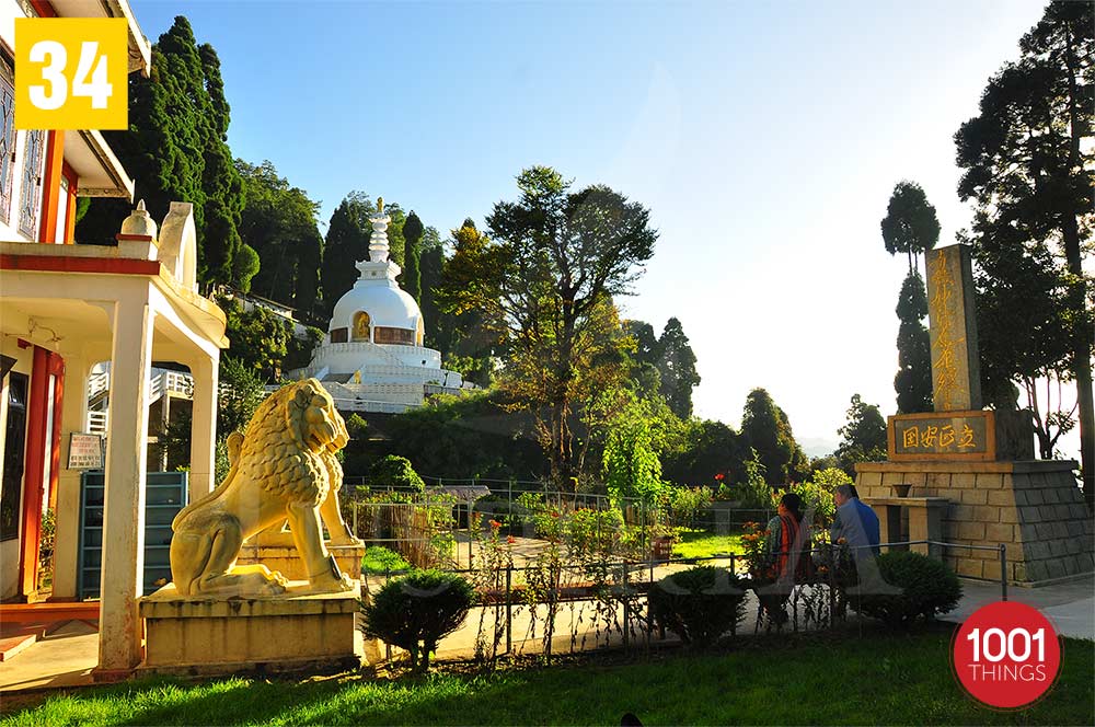 Japansese Temple  Garden - Darjeeling