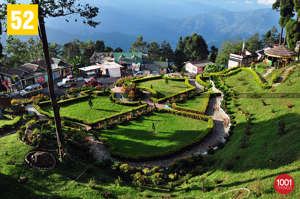 Lamahatta garden, Darjeeling