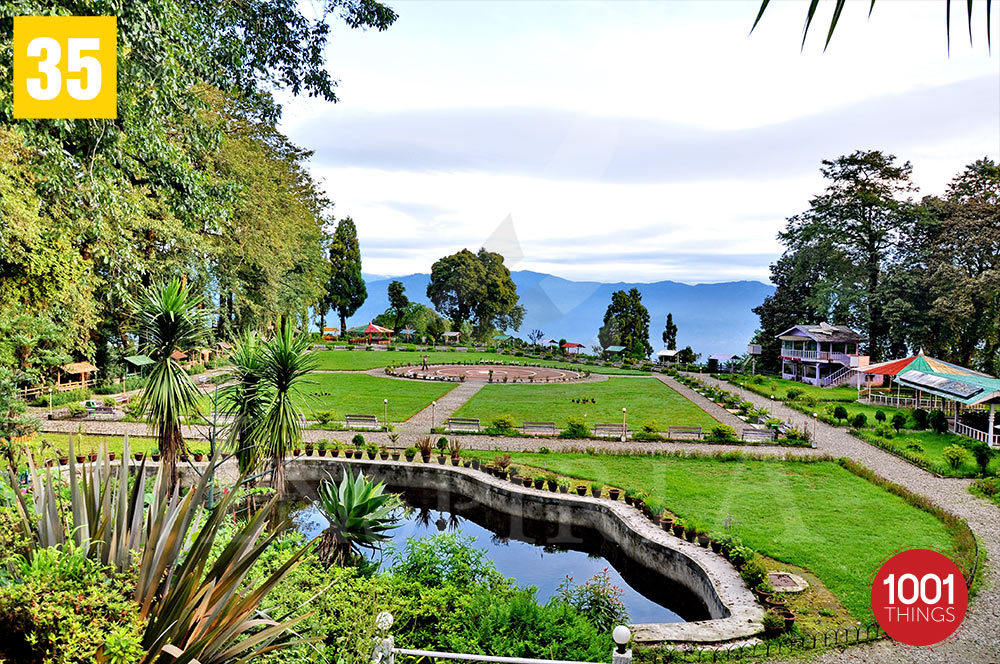 Shrubbery Nightingale Park Rear View, Darjeeling