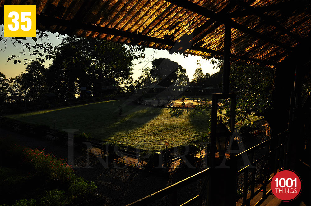 Sunrise at cShrubbery Nightingale Park, Darjeeling