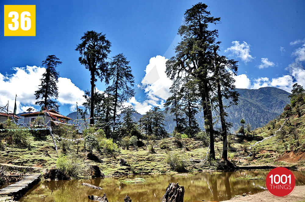 Tshoka , Sikkim