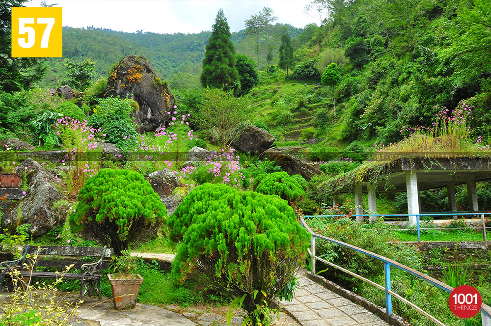 Beautiful Rock Garden, Darjeeling
