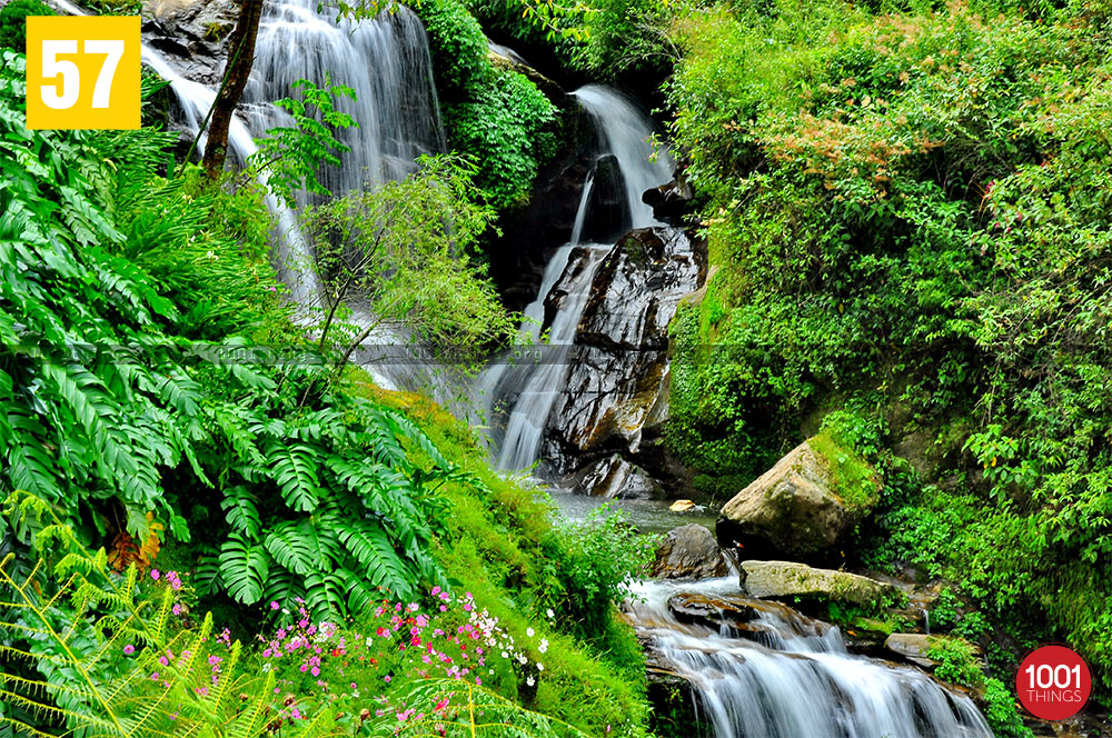 Beautiful waterfall at Rock Garden, Darjeeling