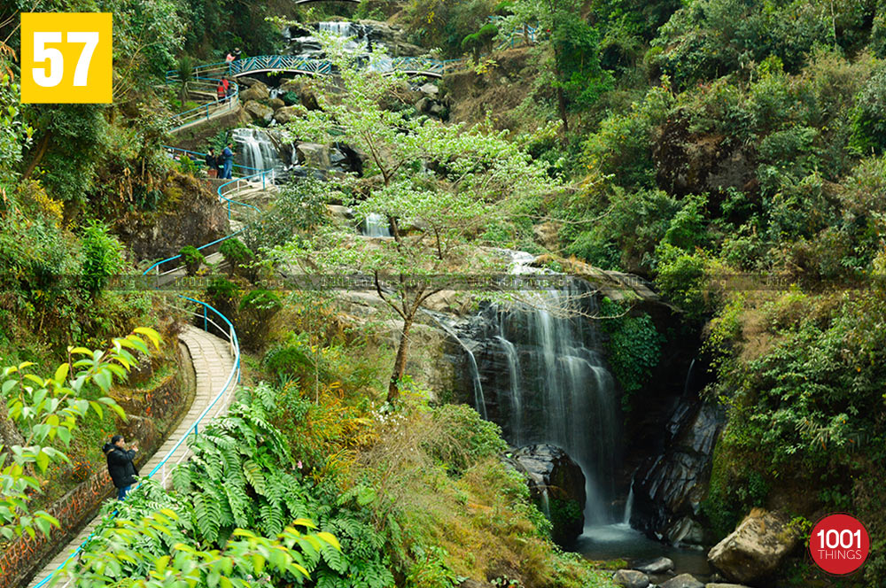 Zig zag bridge at Rock Garden, Darjeeling