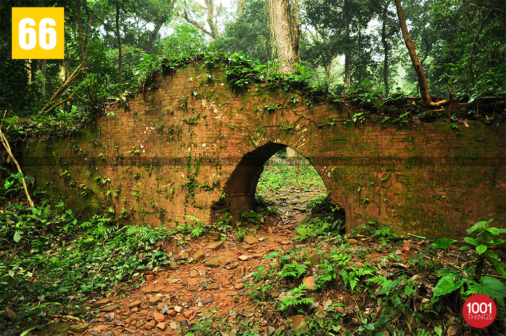 Fort of Nal Kings at Chilapata Forest