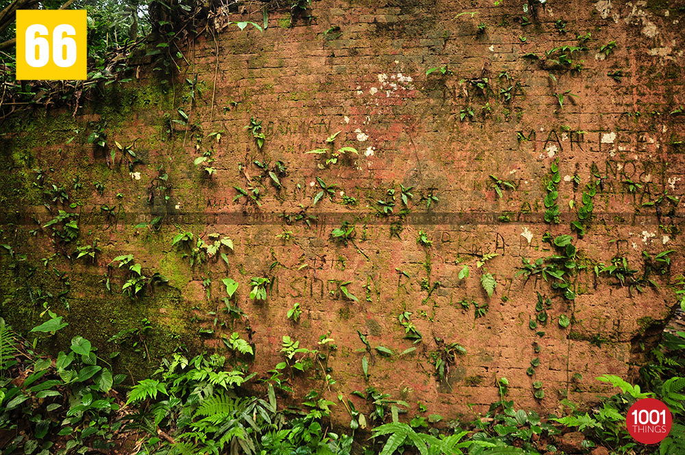 Wall of Nalraja Garh