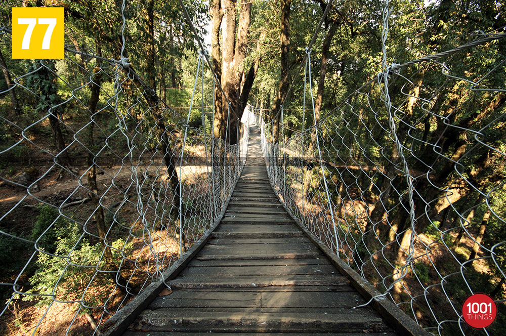 Wooden walkway at Hanging bridge, lolegaon