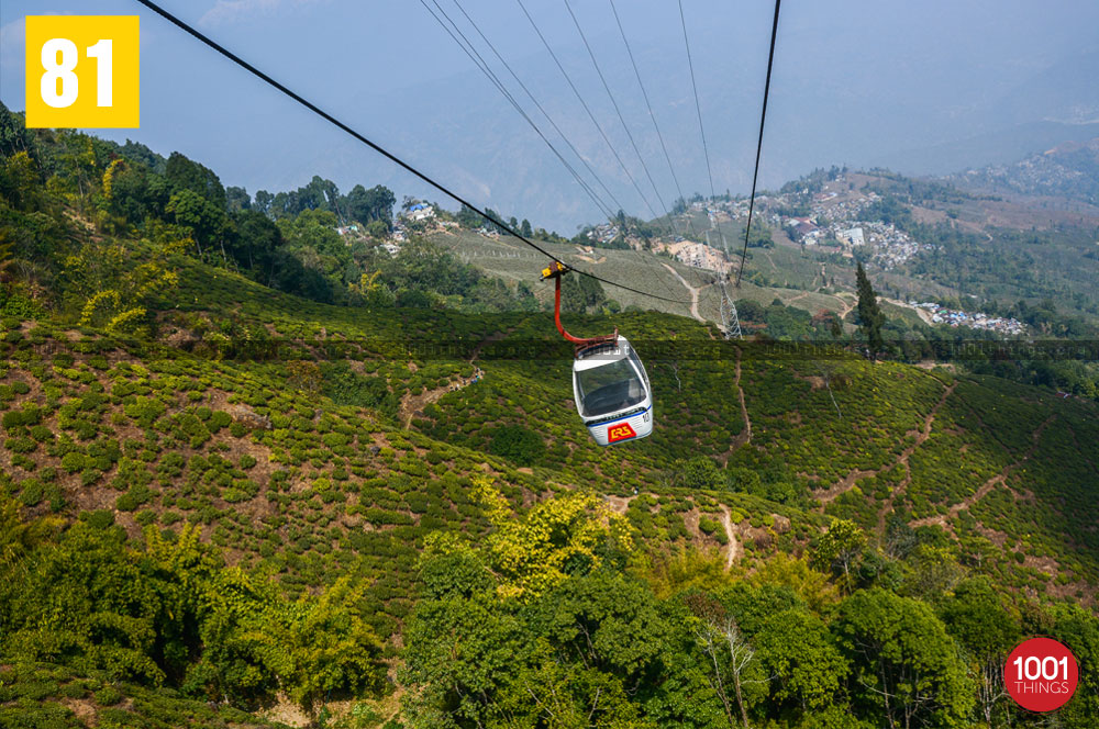 Darjeeling Ropeway over the fields