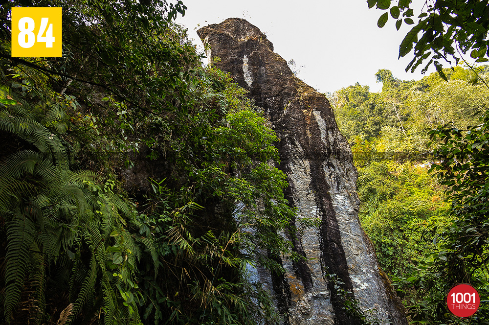 Bottom view of Tenzing and Gombu Rocks, Darjeeling