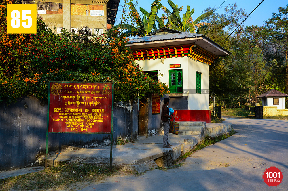 Crocodile Farm ticket counter