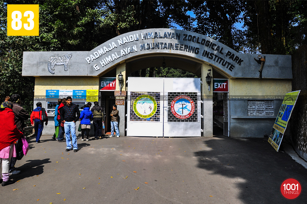 Main entrance at The Padmaja Naidu Himalayan Zoological Park