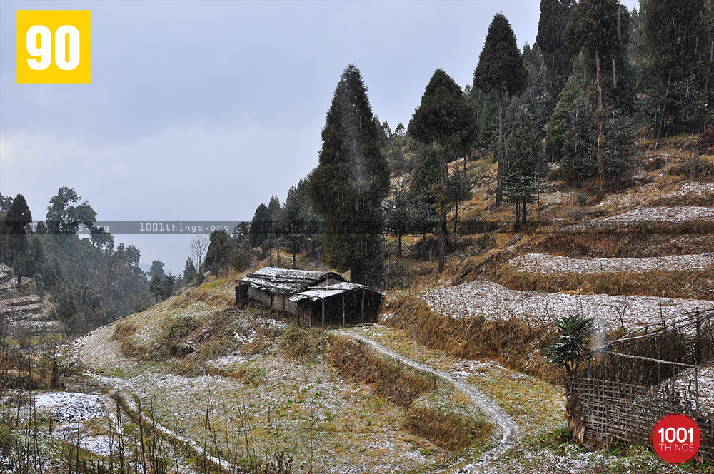 Snowfall at Dhotrey, Darjeeling