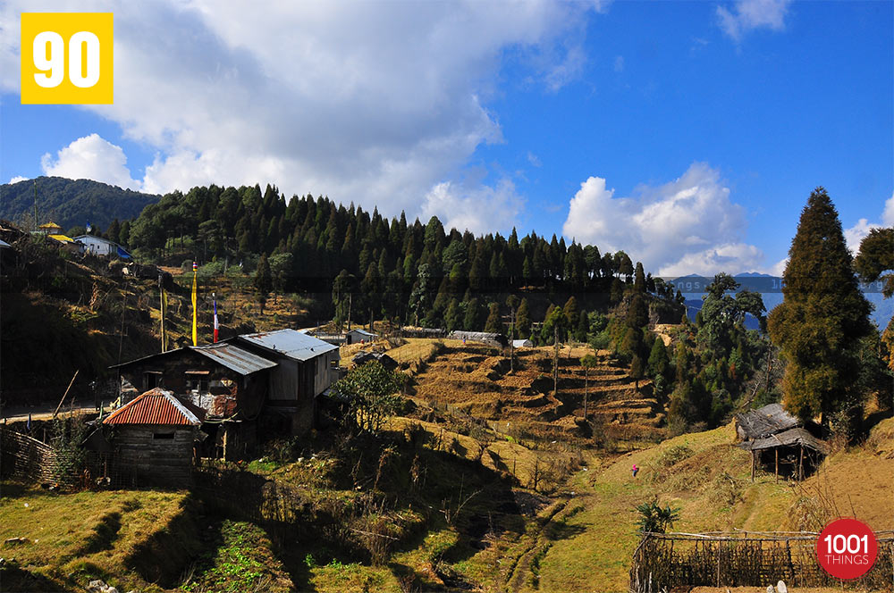 Top view of Dhotrey, Darjeeling