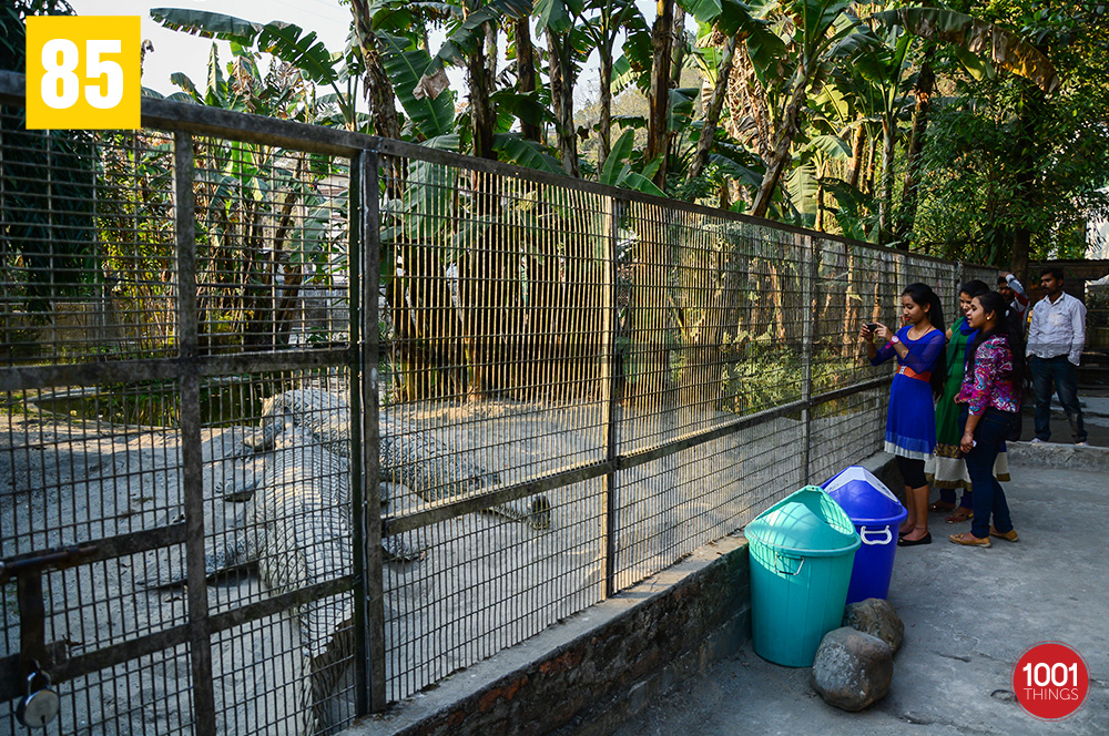 Visitors at Crocodile Farm, Phuentsholing, Bhutan