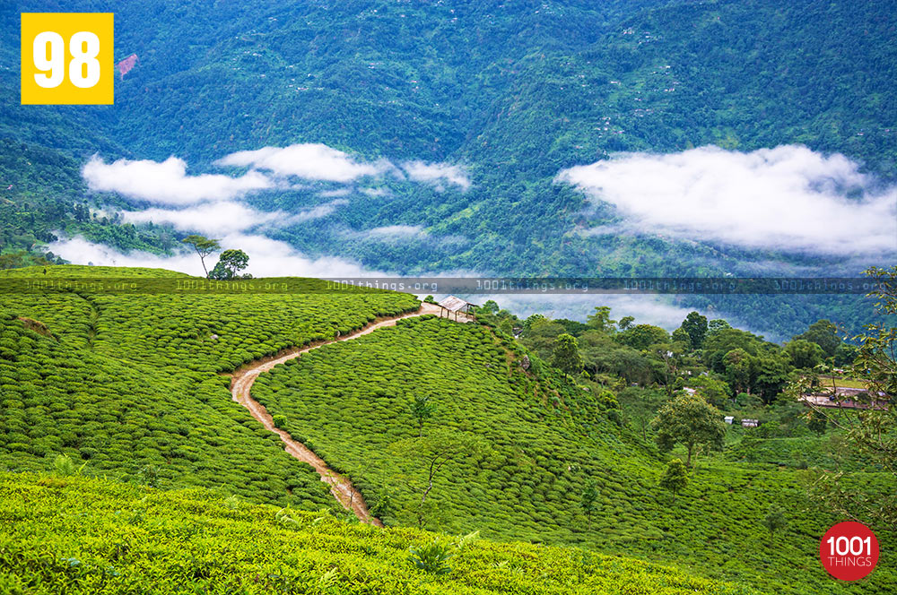 Landscape Teesta Valley Durpin Dara Image