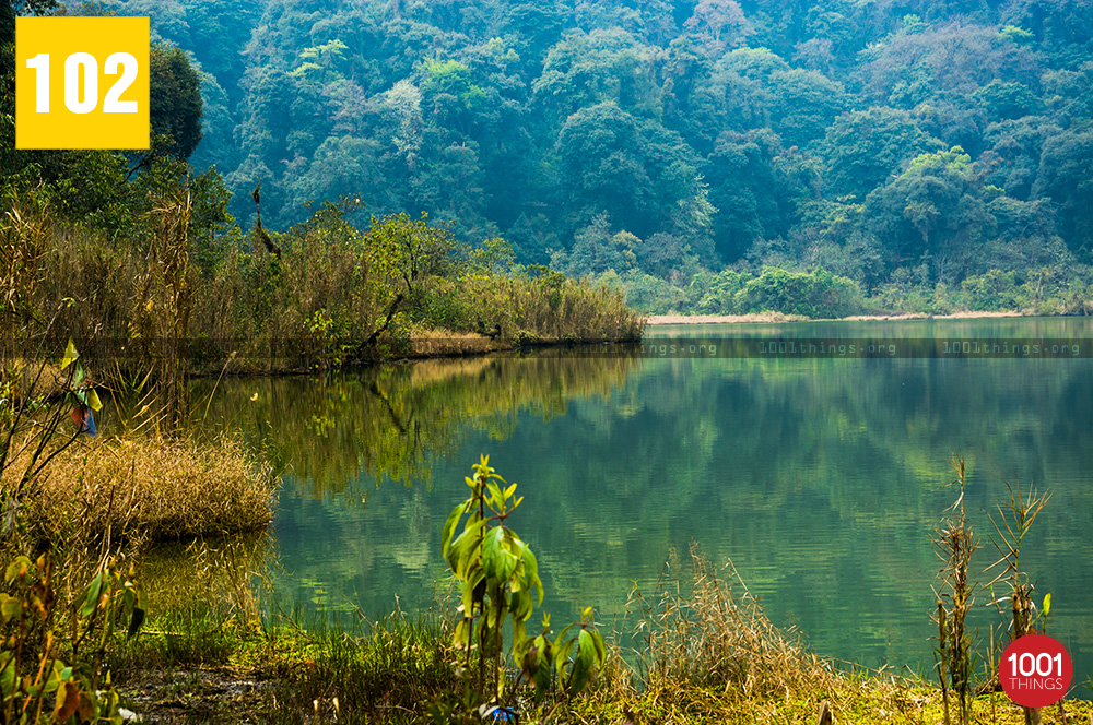 Clear water at Khecheopalri Lake Sikkim