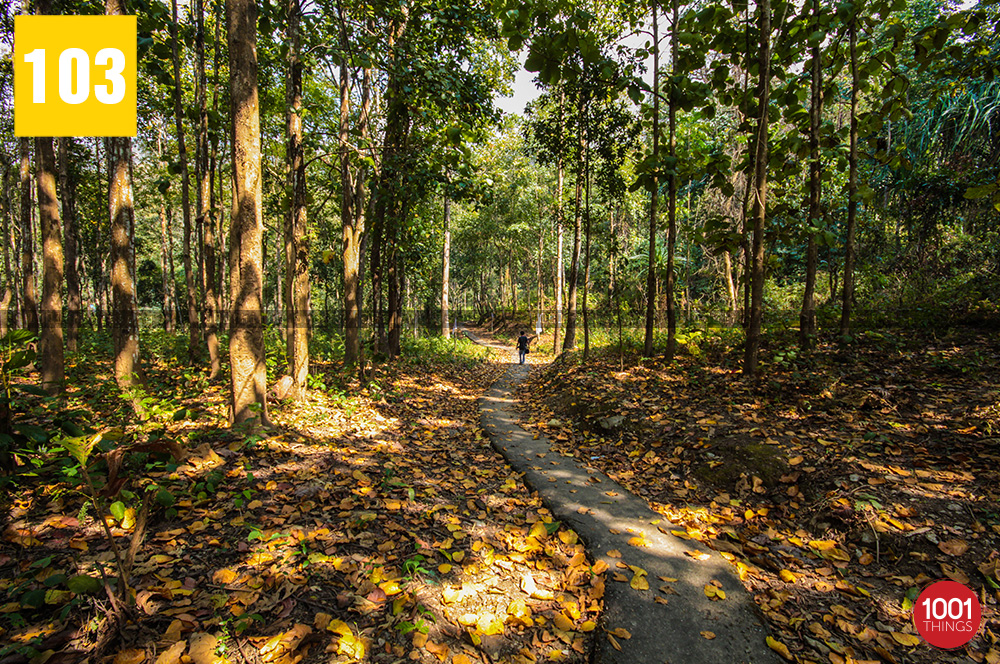 Way to 3rd Mile Mandir, Kalimpong