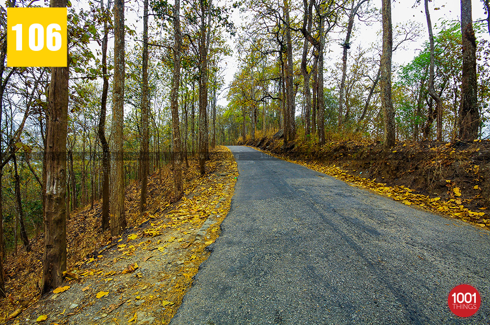 Way to Triveni View Point, Darjeeling