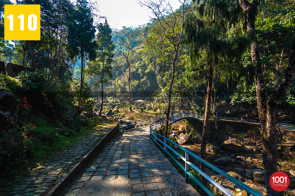 Gangamaya-park-Darjeeling-first-sight