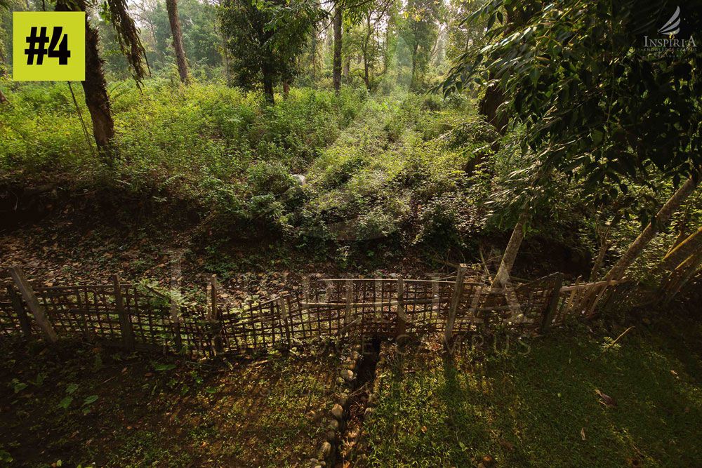 gorumara national park in west bengal