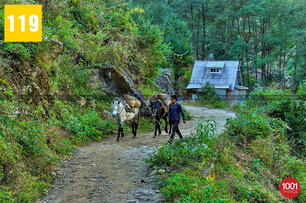 Curved-road-ways-zuluk