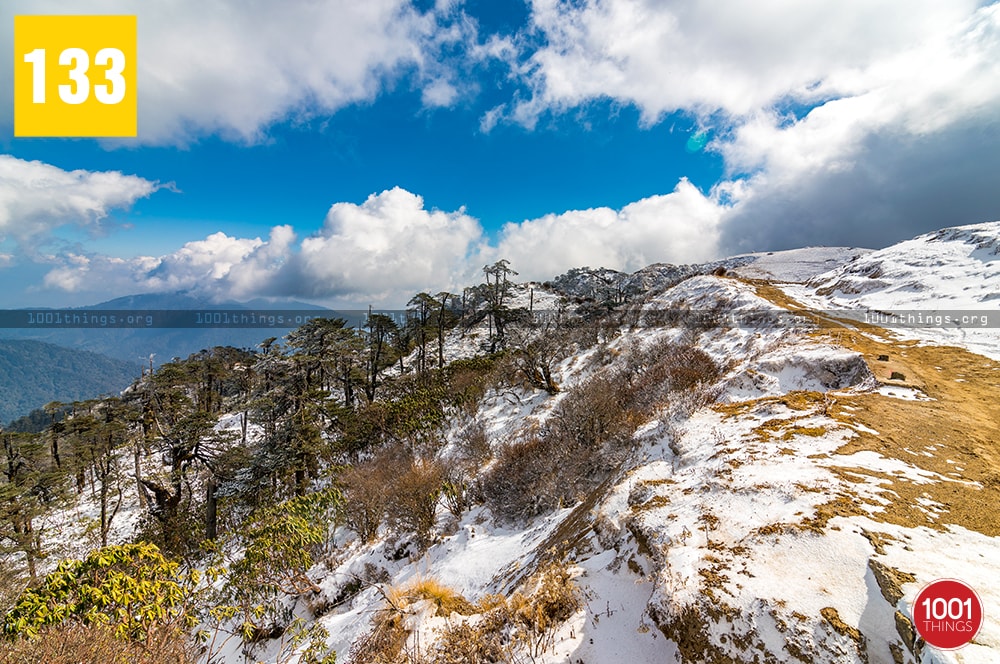 Phalut, Darjeeling