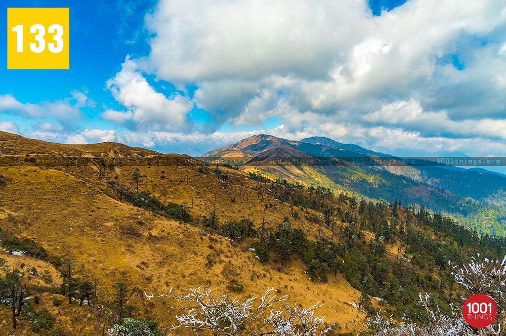 Phalut, Darjeeling