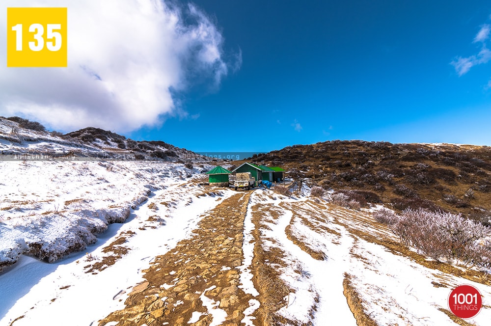 Sabargram and Molley, Darjeeling