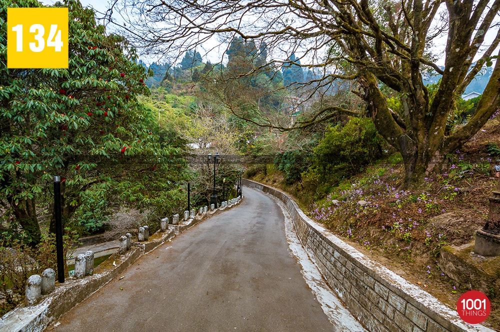 Lal Kothi Darjeeling