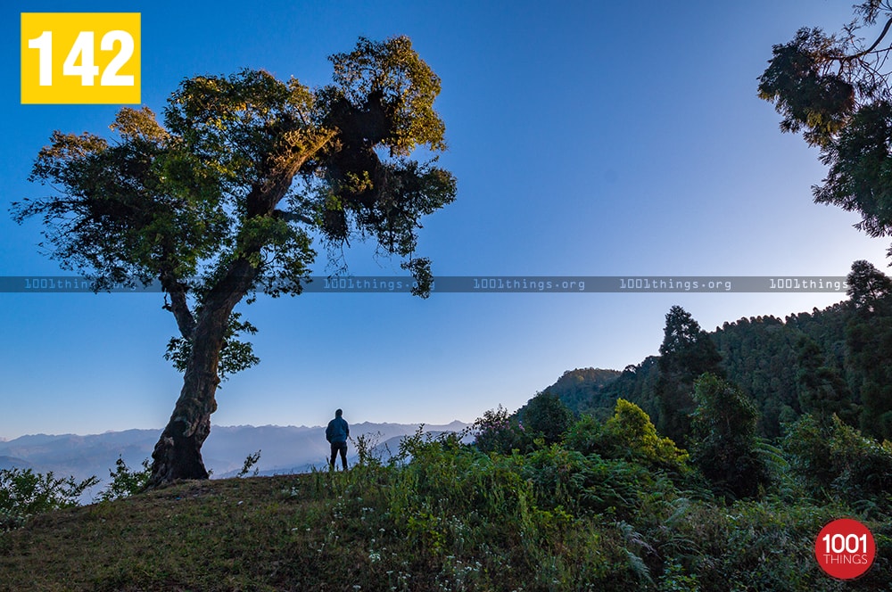 Rikisum, Kalimpong