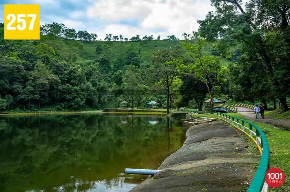 Rohini Lake Kurseong, Tranquil Oasis of Natural Beauty