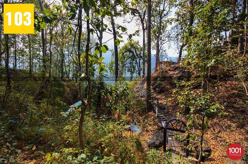 Forest at 3rd Mile Mandir, Kalimpong