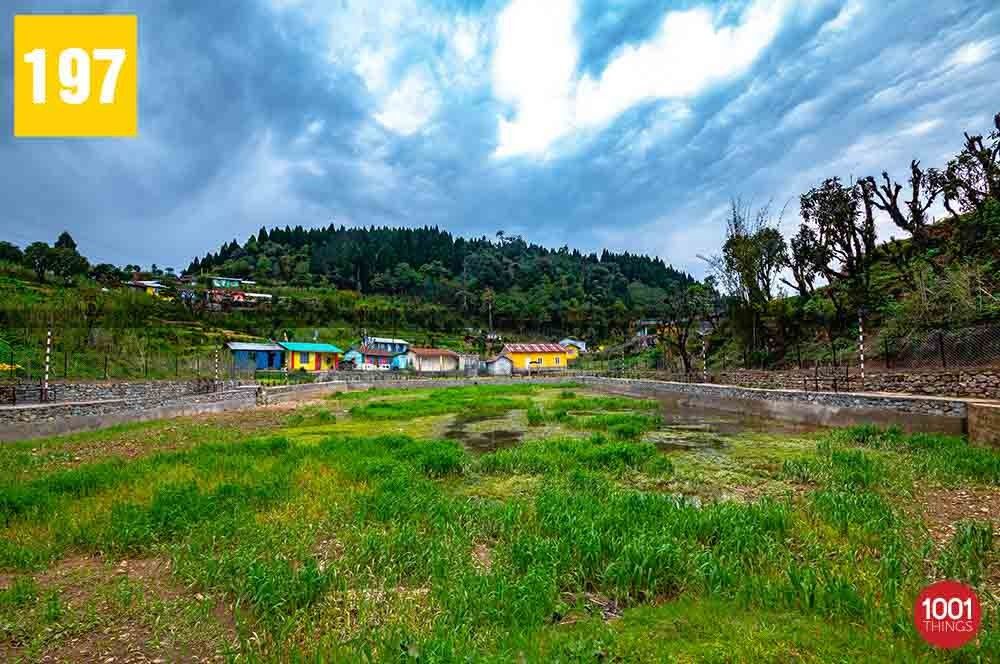 Bagora, Kurseong