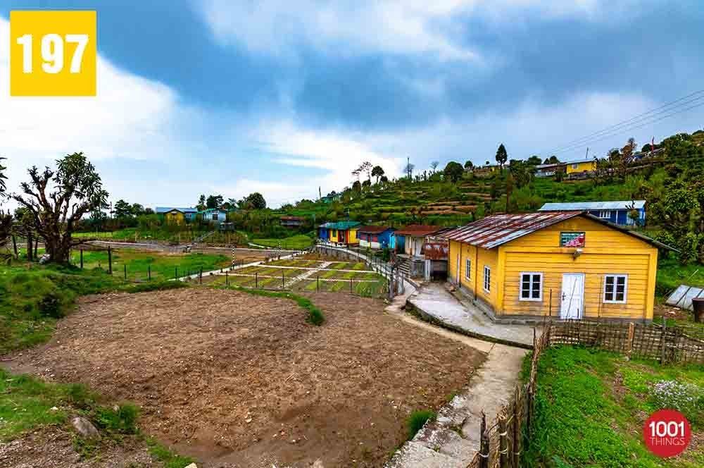 Bagora, Kurseong