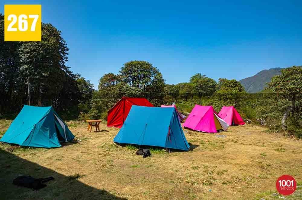 Barsey Rhododendron Sanctuary