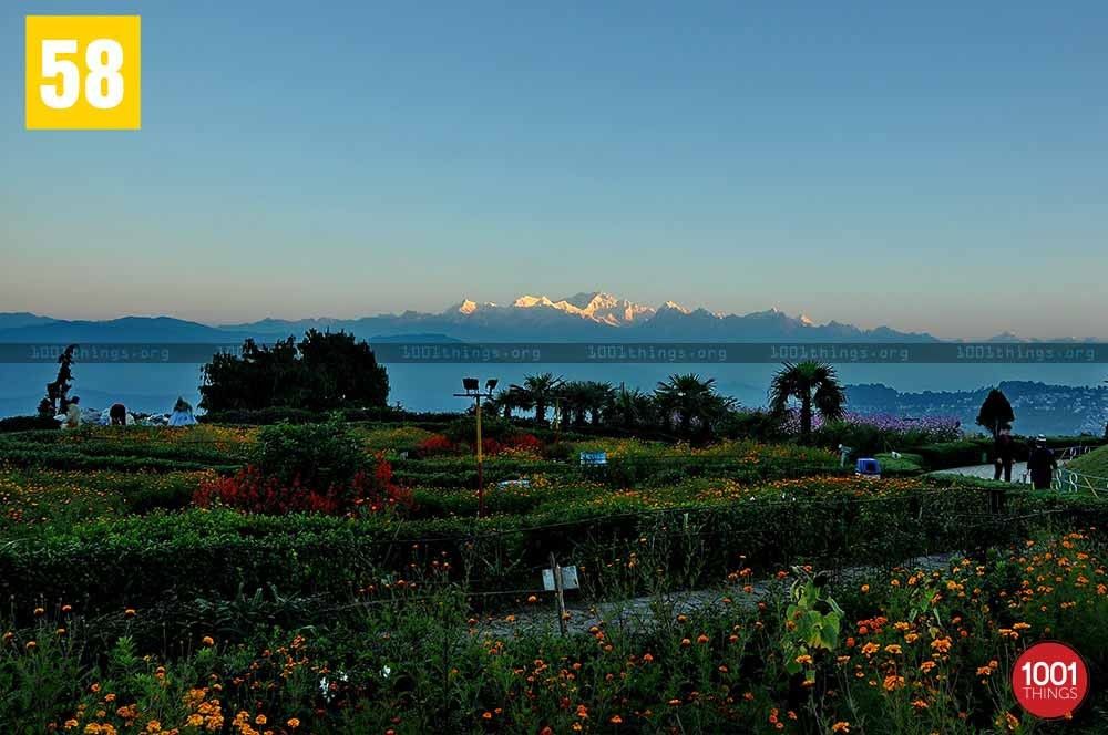 Garden at Batasia Loop Darjeeling