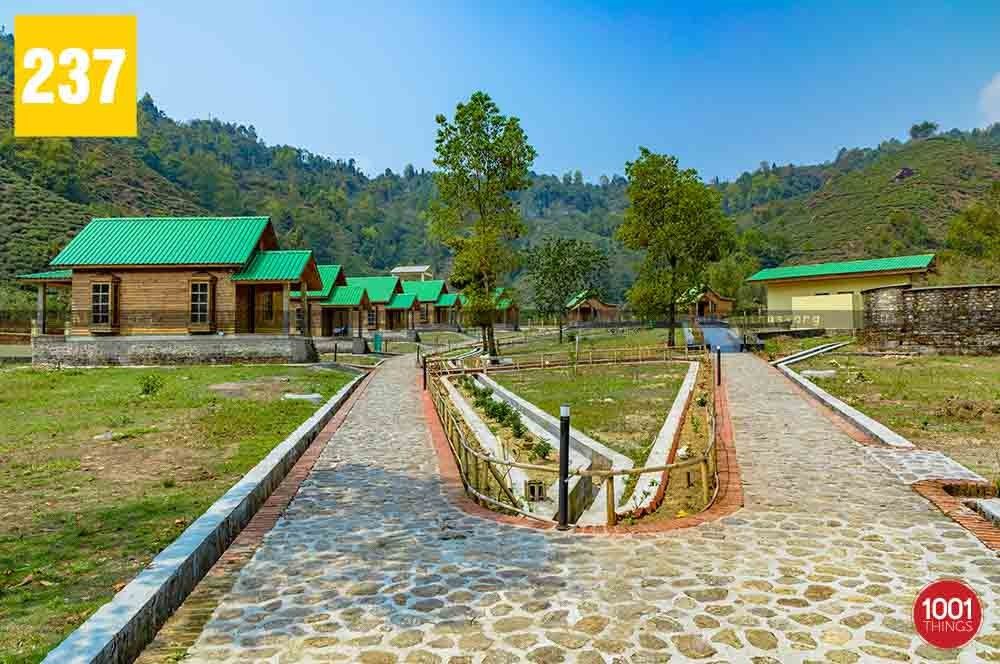 Beltar, Kurseong