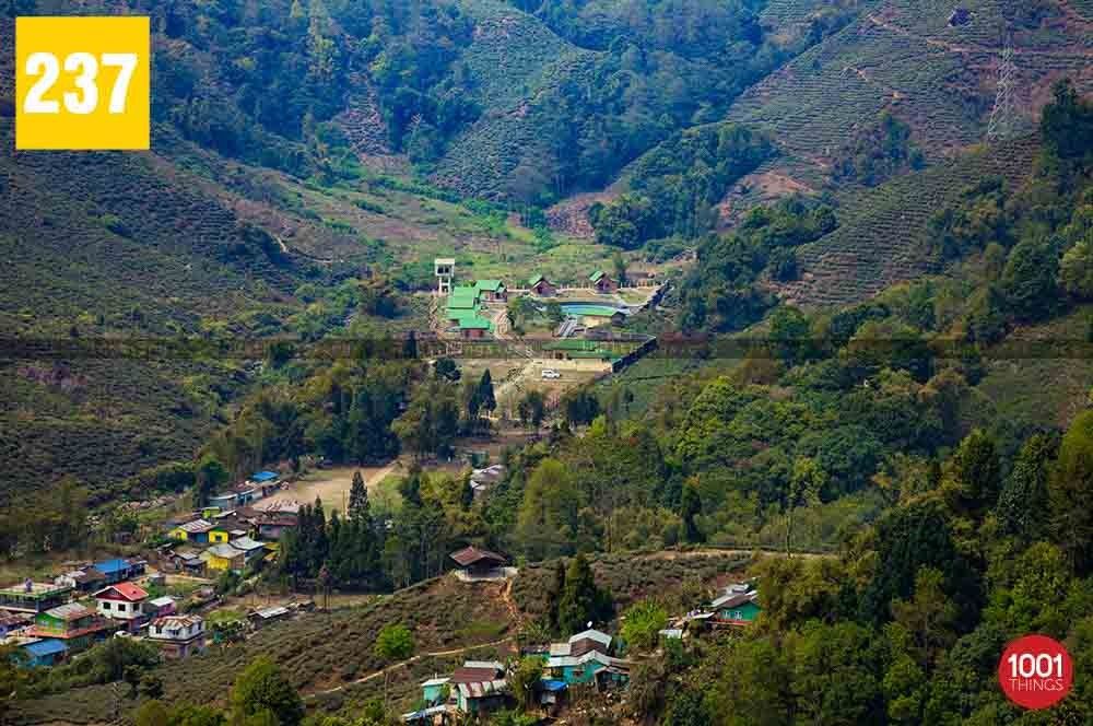 Beltar, Kurseong