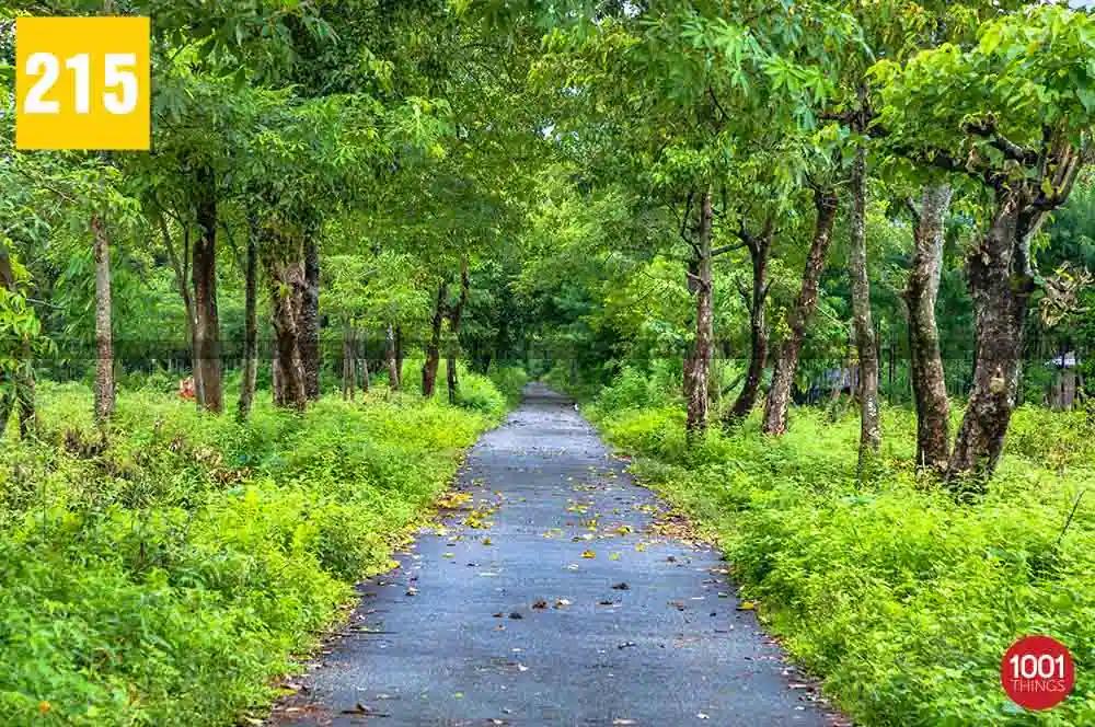 Bhutan Ghat