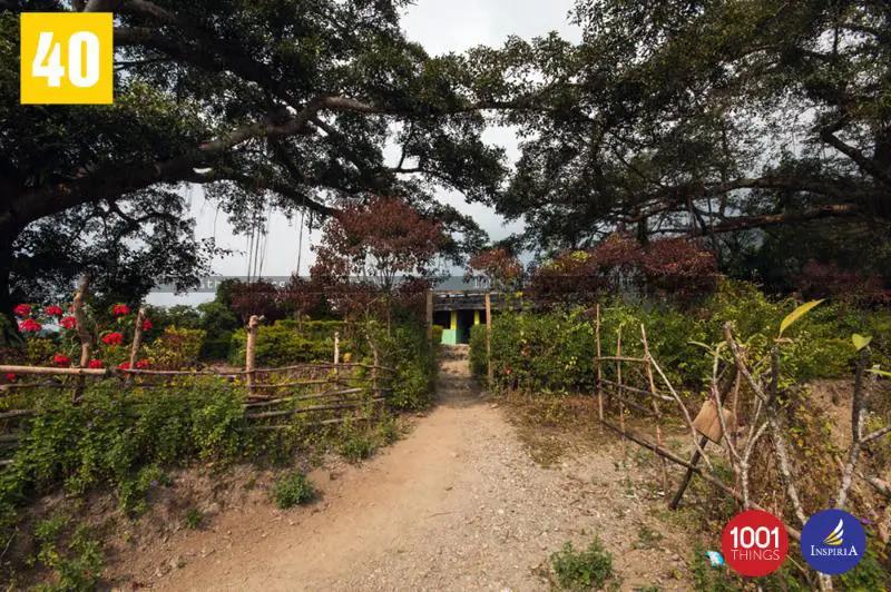 Buxa fort path Dooars West Bengal