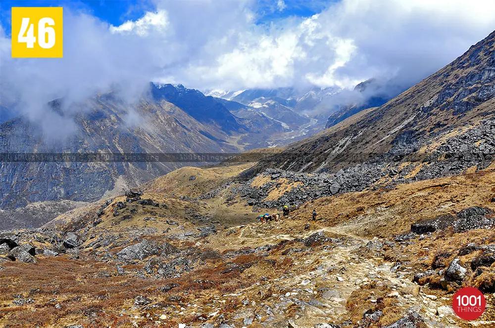 On the way to Chaurikhang Sikkim