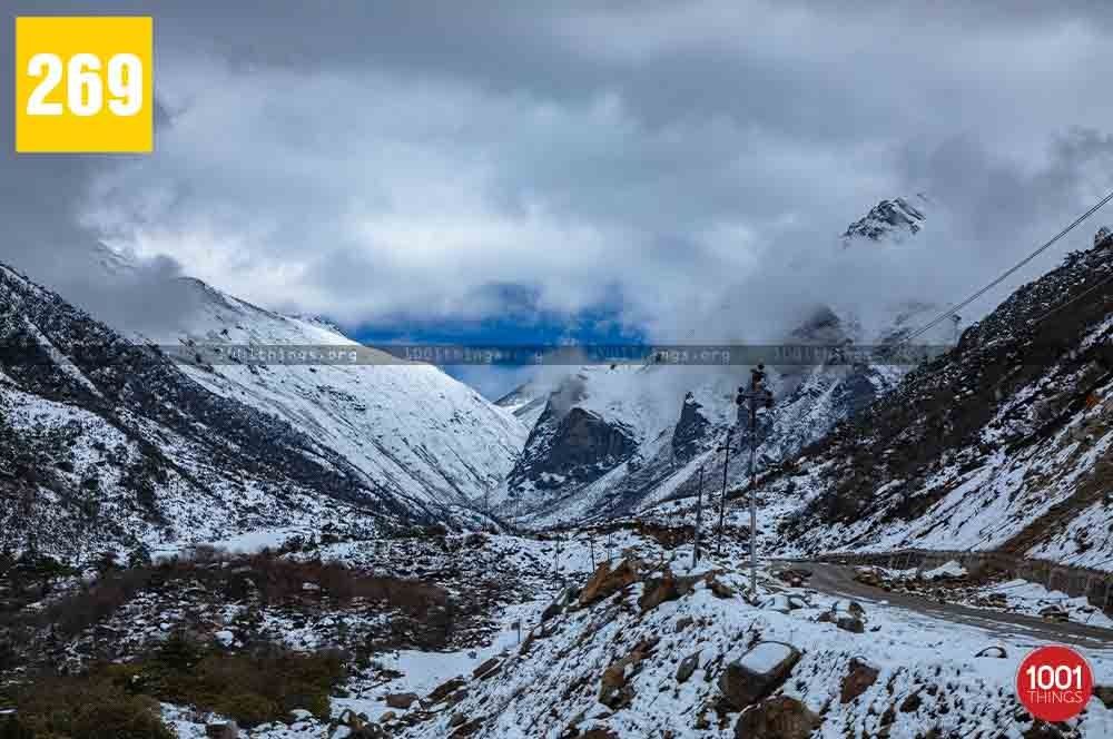 Chopta Valley, North Sikkim