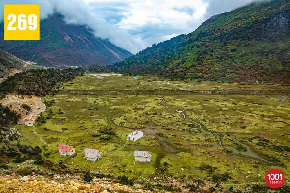 Chopta Valley, North Sikkim