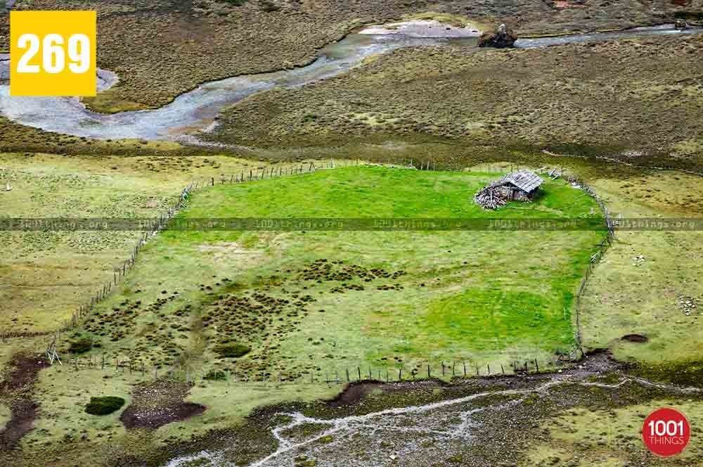 Chopta Valley, North Sikkim