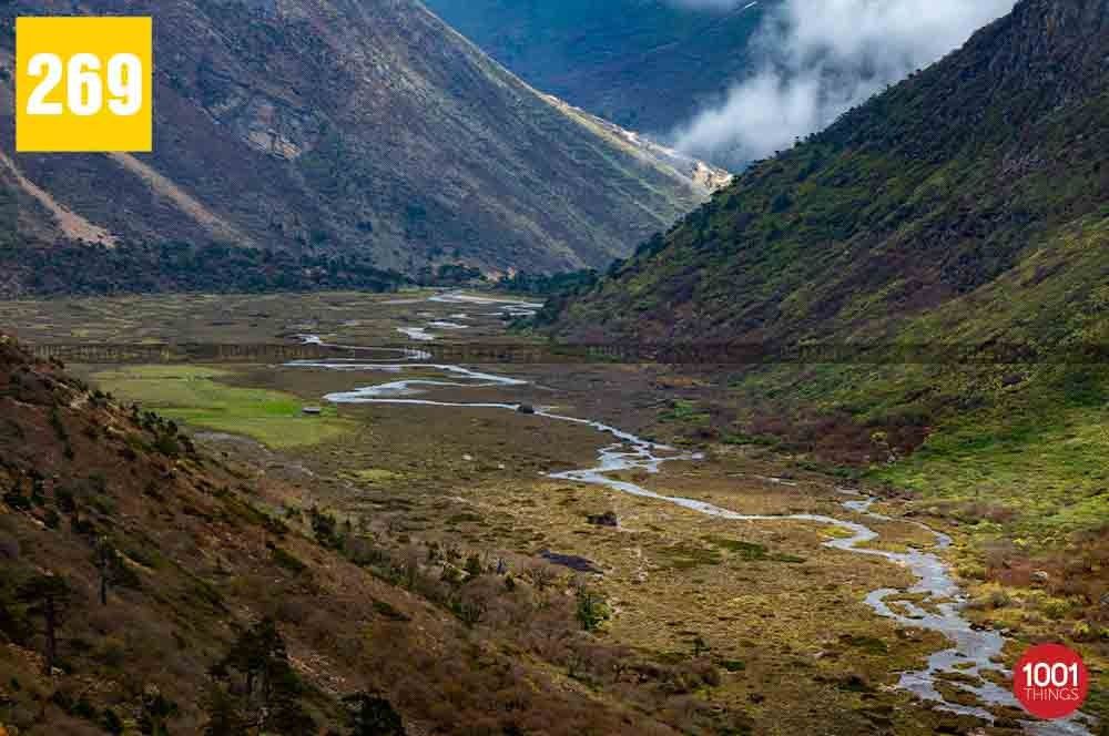 Chopta Valley, North Sikkim