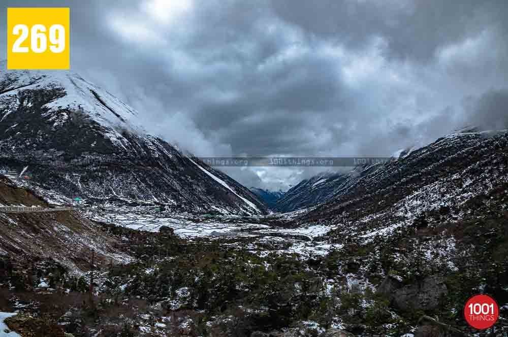 Chopta Valley, North Sikkim