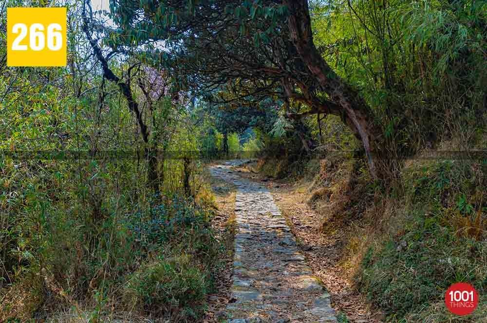 Dhotrey to Tonglu and Tumling Trek
